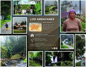 ARRAYAN_Mesa de trabajo 1