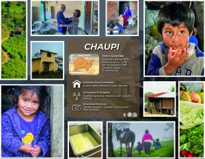 CHAUPI_Mesa de trabajo 1