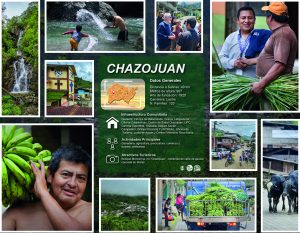 CHAZOJUAN_Mesa de trabajo 1