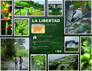 LA LIBERTAD_Mesa de trabajo 1