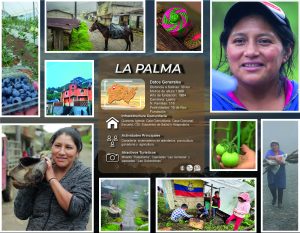 LA PALMA-01