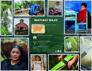 MATIAVI BAJO-01