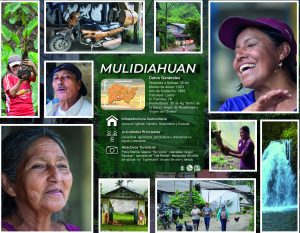 MULDIAHUAN-01