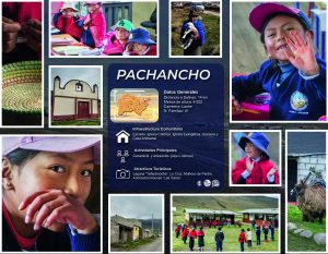 PACHANCHO_Mesa de trabajo 1