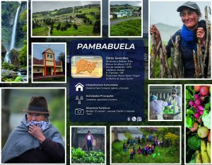 PAMBABUELA_Mesa de trabajo 1
