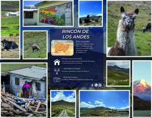RINCON DE LOS ANDES_Mesa de trabajo 1