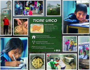 TIGREHURCO_Mesa de trabajo 1
