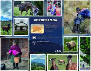 VERDEPAMBA_Mesa de trabajo 1
