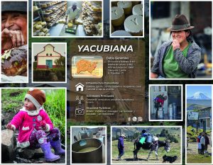 YACUBIANA_Mesa de trabajo 1