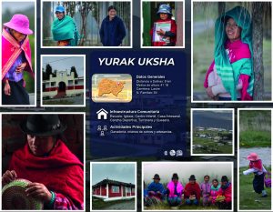 YURAK UKSHA_Mesa de trabajo 1