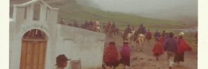 Salinas 8